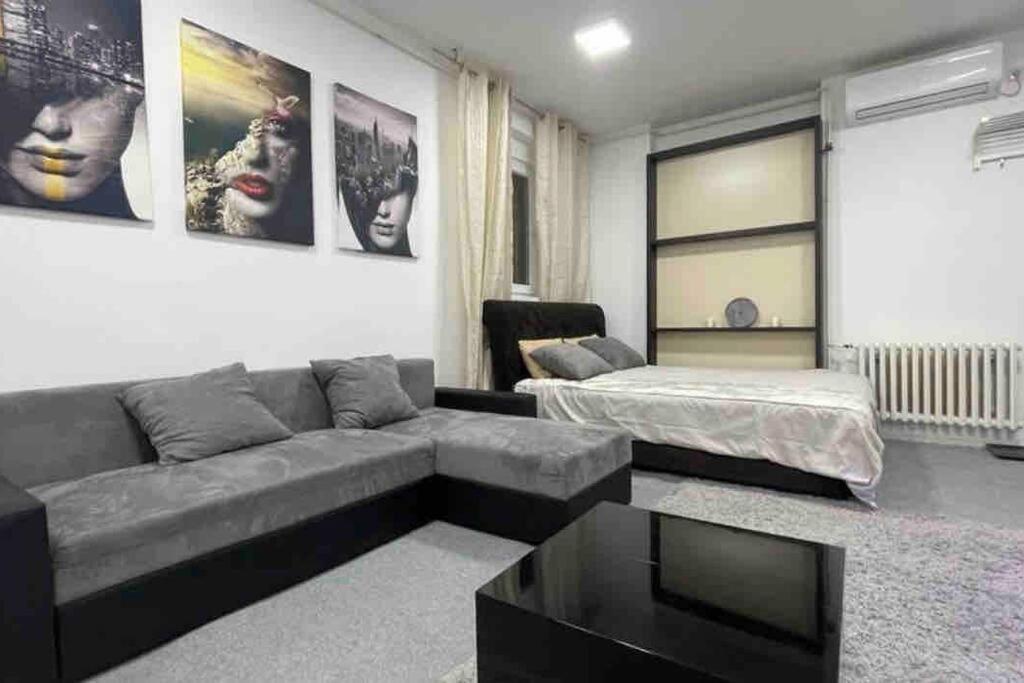 Dorcol Lux Studio Apartment Belgrade Luaran gambar